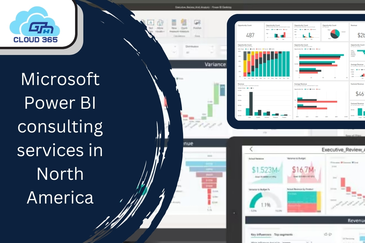 Microsoft Power BI consulting services in North America